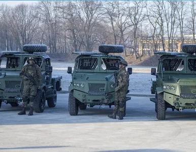 Miniatura: Polska armia chciała mieć „broń...