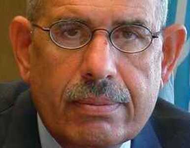 Miniatura: Protesty w Kairze - ElBaradei nie może...