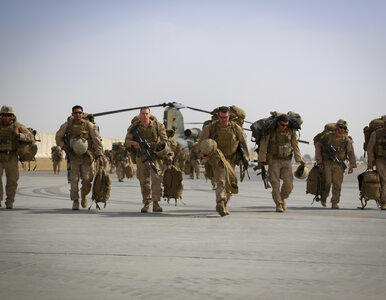 Miniatura: Amerykanie wysyłają żołnierzy na granicę z...
