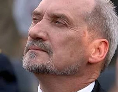 Miniatura: Macierewicz: Komorowski broni służb...