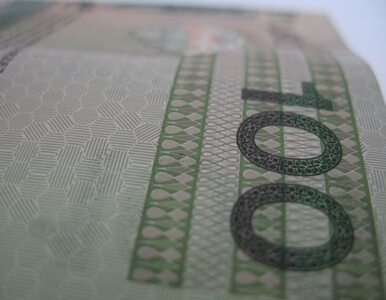 Miniatura: PiS chce wzmocnić kontrolę nad wydatkami...