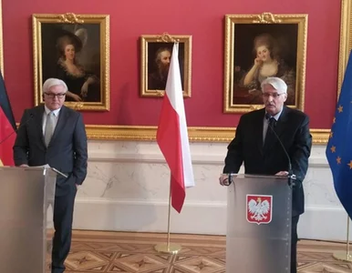 Miniatura: Spotkanie Steinmeier-Waszczykowski....