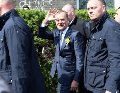 Miniatura: Tusk dziękuje za wsparcie. „Drzewo zetną,...