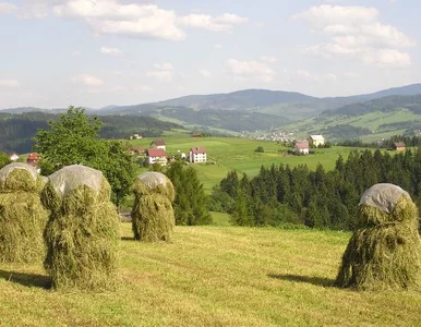 Miniatura: Gospodarstwa rolne dostaną więcej...