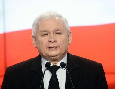 Miniatura: Kaczyński o Merkel: Bez niej nie byłoby...
