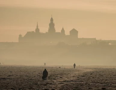 Miniatura: Gęsty smog nad Polską. „Ostrzegajcie...