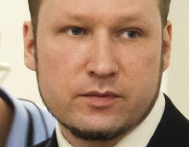 Miniatura: "Nie możemy udowodnić, że Breivik działał...