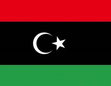 Miniatura: Libia ma rząd przejściowy