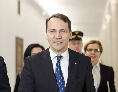 Miniatura: Sikorski zmienił zdanie ws. ekshumacji...