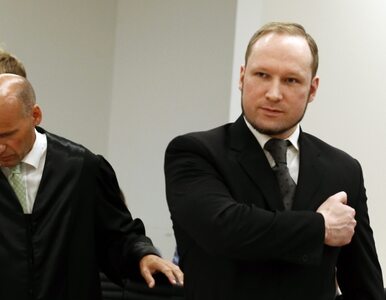 Miniatura: Błaszczak o sprawie Breivika: rozważnie...