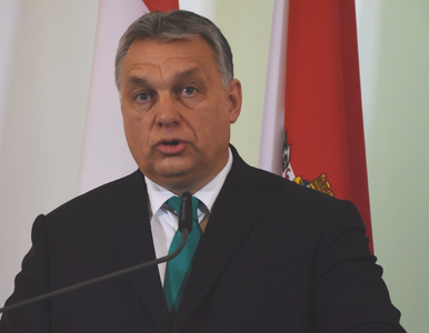 Miniatura: Orban domaga się od Brukseli pół miliarda...