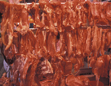 Miniatura: Rosja: rząd PiS upolitycznił sprawę mięsa