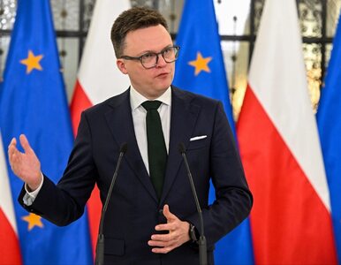 Miniatura: Marszałek przełożył obrady Sejmu. Prace...