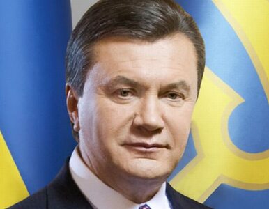 Miniatura: Janukowycz: to ja wygrałem wybory w 2004 roku