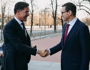 Miniatura: Morawiecki spotkał się z premierem...