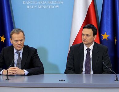 Miniatura: Polska przywraca kontrole na granicach