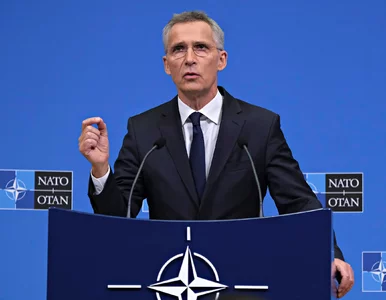 Miniatura: Stoltenberg zwołuje Radę NATO-Ukraina....