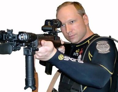 Miniatura: Breivik zameldował policji wypełnienie misji