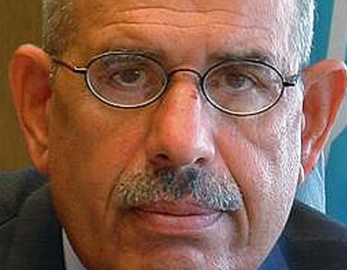 Miniatura: ElBaradei: nie prosimy lisa, żeby pilnował...