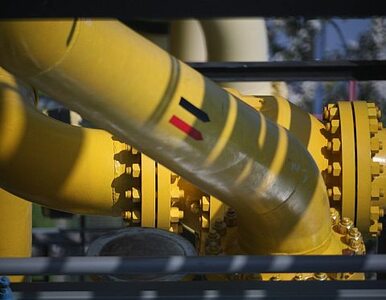 Miniatura: Ukraina nie boi się Nord Streamu