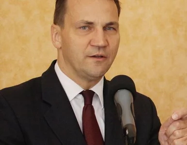 Miniatura: Sikorski: jesteśmy silniejsi niż kraje...