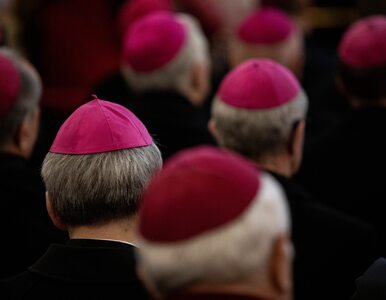 Miniatura: Niemieccy biskupi wbrew Watykanowi. Chodzi...