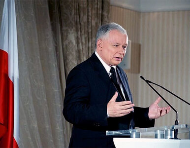 Miniatura: Kaczyński: nie jesteśmy żabą. Euro teraz?...