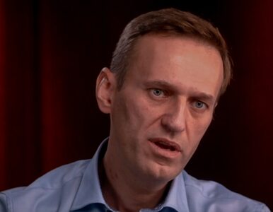 Miniatura: Aleksiej Nawalny został umieszczony w...