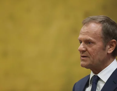 Miniatura: NA ŻYWO: Donald Tusk zeznaje przed sądem...