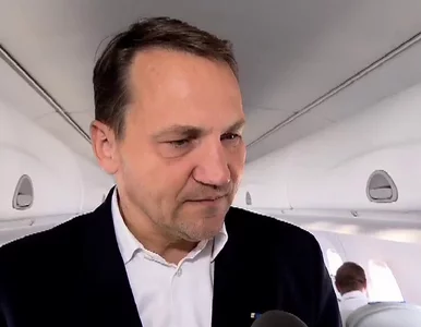 Miniatura: Sikorski: Habemus Praesidentem Europae....