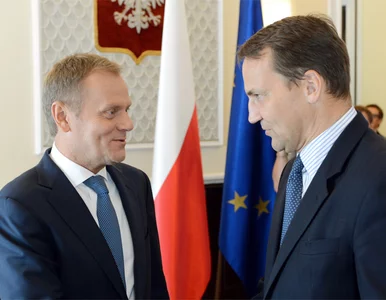 Miniatura: Sikorski: Tusk nadawałby się na każde...