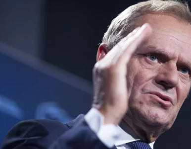 Miniatura: W którą stronę Donald Tusk pokieruje PO?...