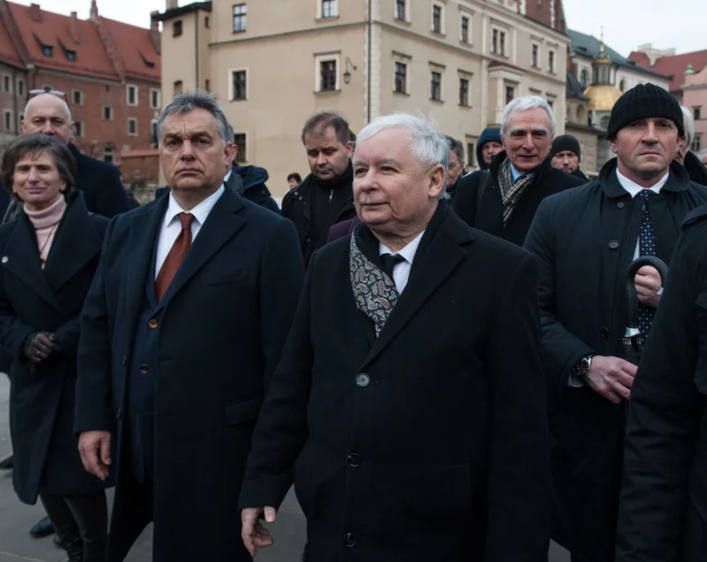 Miniatura: Marcin Dzierżanowski: Polska nie pójdzie...