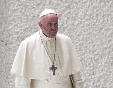 Miniatura: Papież Franciszek: Wojna to bestialstwo,...