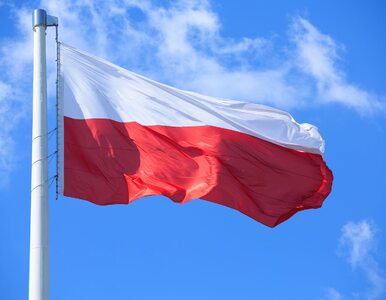 Miniatura: Radny PiS złożył interpelację ws. flagi....