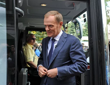 Miniatura: PO szuka sukcesów, by Tusk miał się czym...