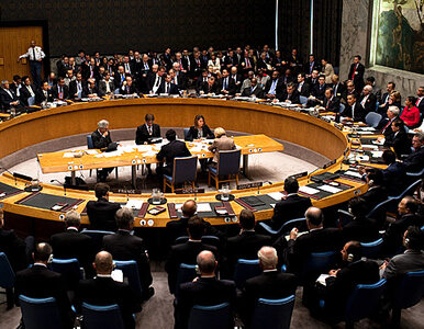 Miniatura: USA chcą wykluczenia Libii z Rady Praw...