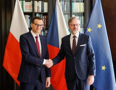 Miniatura: Czechy zainwestują w rozbudowę gazoportu w...