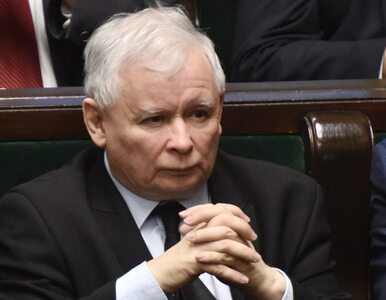 Miniatura: Kaczyński sugeruje proces wobec opozycji,...