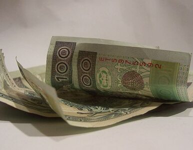 Miniatura: Nowy mBank będzie kosztował 100 milionów...