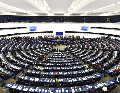 PE chce zakazać „leczenia” homoseksualizmu. Trójka europosłów PO...
