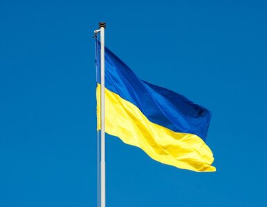 Miniatura: USA wspierają reformy na Ukrainie....