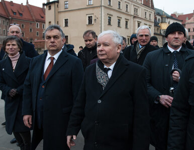 „Prawicowa Dyktatura”. Kukła Kaczyńskiego po raz kolejny na paradzie w...