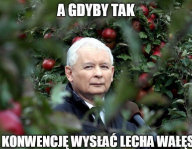 Przemówienie Wałęsy pogrąży Koalicję Obywatelską? Internauci tworzą memy