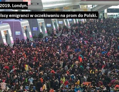 Miniatura: Premier Morawiecki i „bilet na prom”....