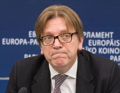 Miniatura: Verhofstadt wyraził uznanie dla Petru....