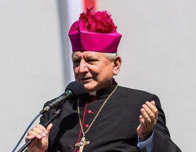 Miniatura: Damian Bryl nowym biskupem kaliskim....