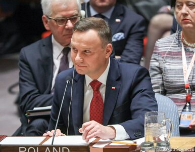 Miniatura: Polska obejmuje przywództwo w Radzie...