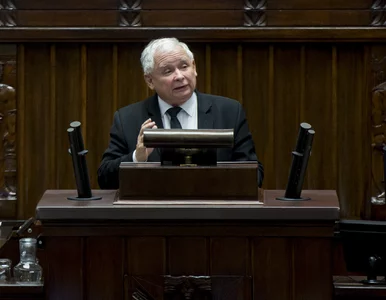 Miniatura: Jarosław Kaczyński zgadza się na...