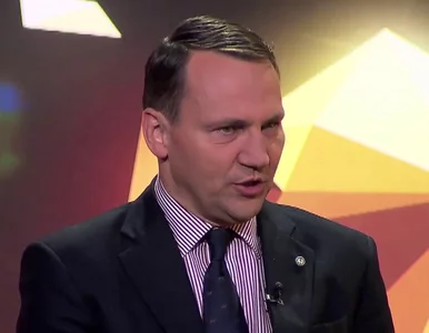 Miniatura: Sikorski: Jeśli marszałek Kopacz zechce...